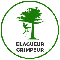 elagueur-grimpeur